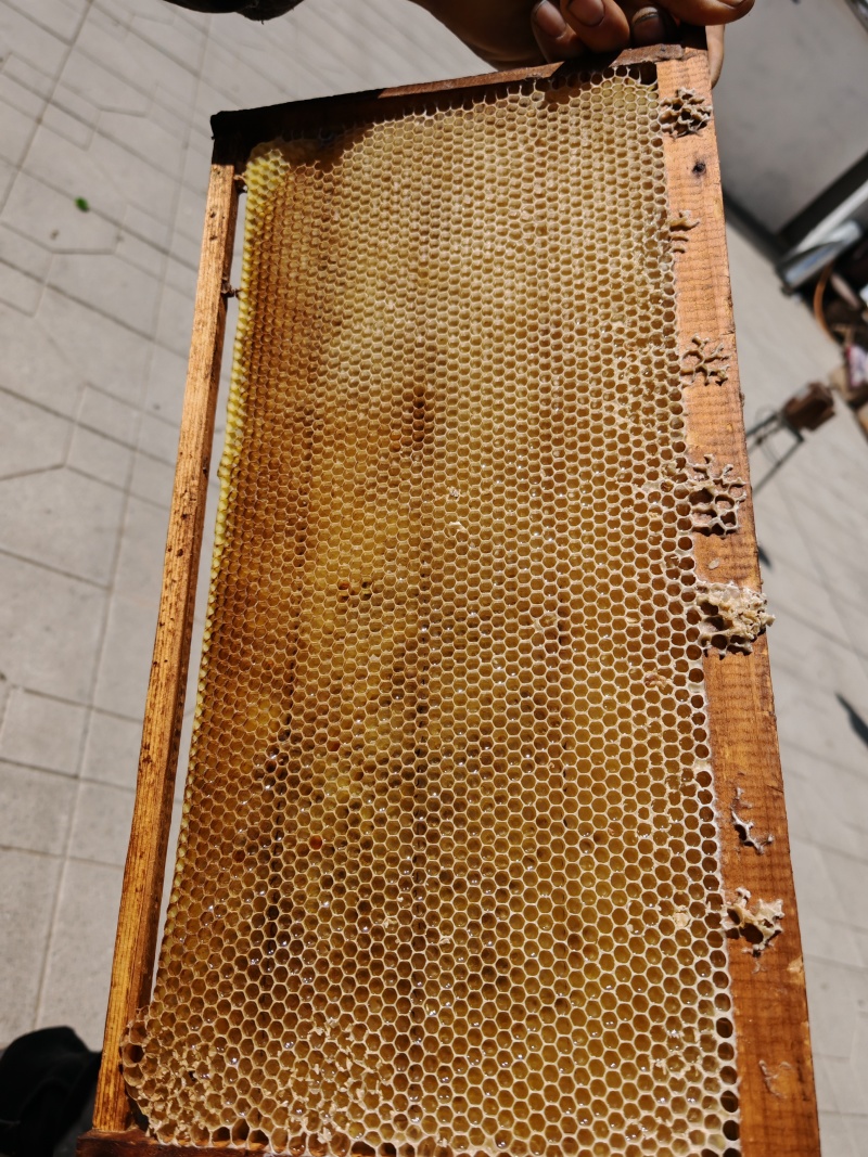 意蜂蜂蜜