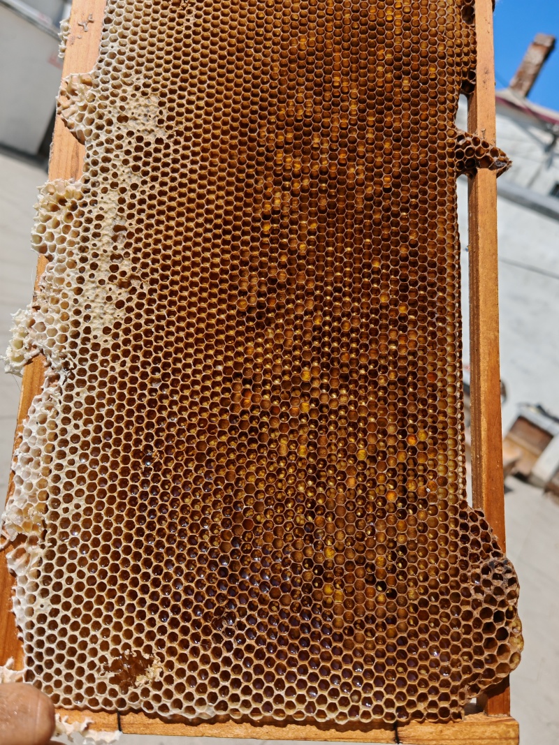 意蜂蜂蜜