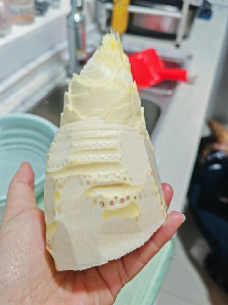 衢州毛竹笋干，都是清明节前挖的笋，很嫩很干净
