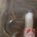 正宗的土黄鳝。皇