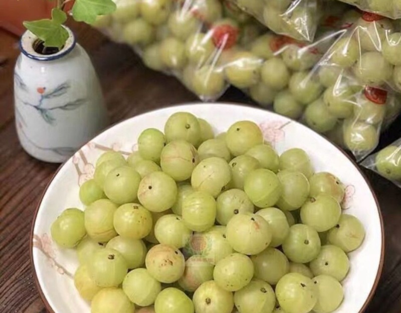 油甘赤皮，自家种植园