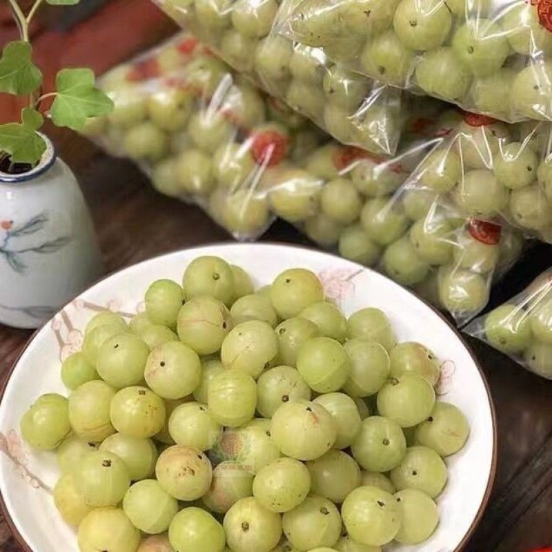 油甘赤皮，自家种植园