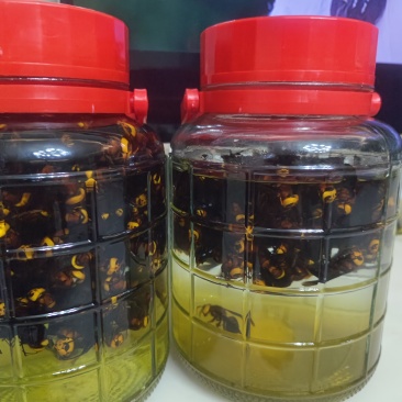 红娘虎头蜂泡酒