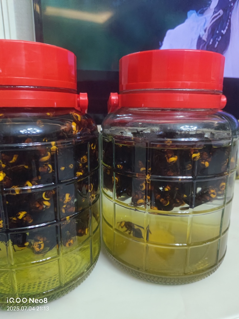 红娘虎头蜂泡酒