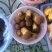 云南野生菌