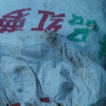 胡萝卜