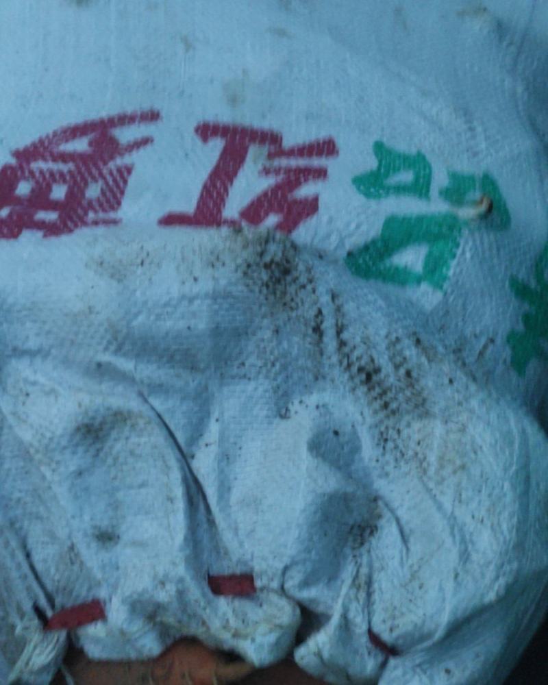 胡萝卜