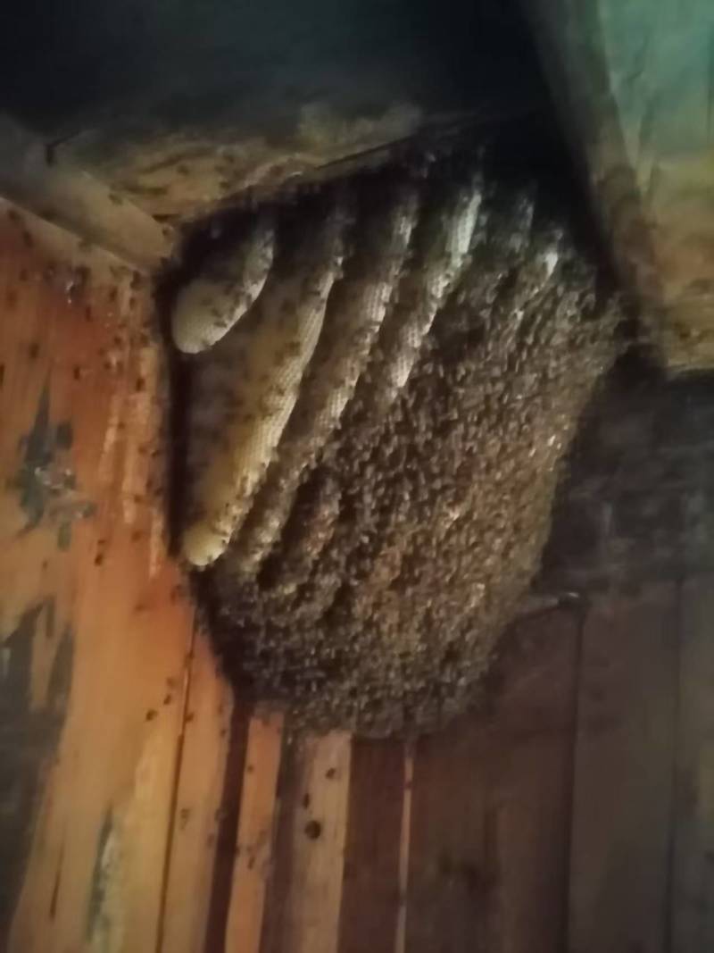 蜂蜜