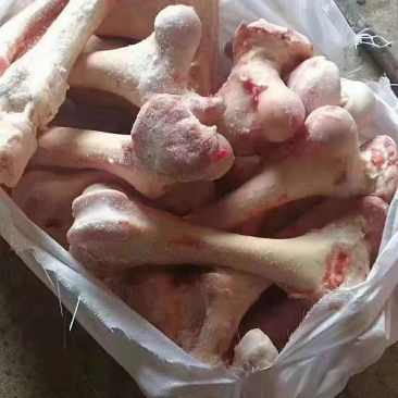 六盘山小黄牛牛棒骨，清真阿訇屠宰