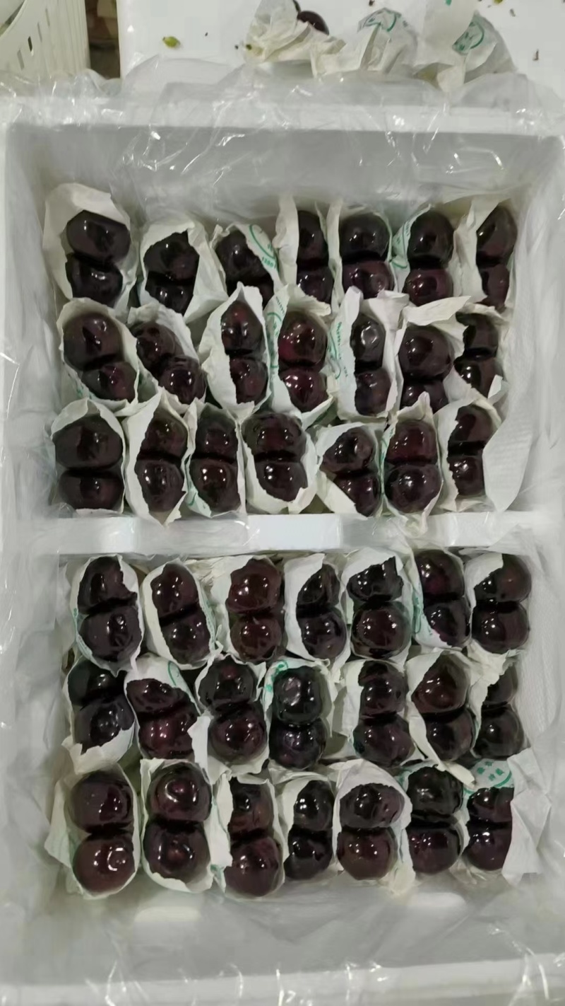 雅安汉源套袋黑珍珠