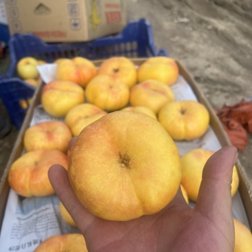 黄油蟠桃，黄油桃