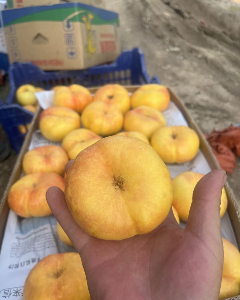 黄油蟠桃，黄油桃