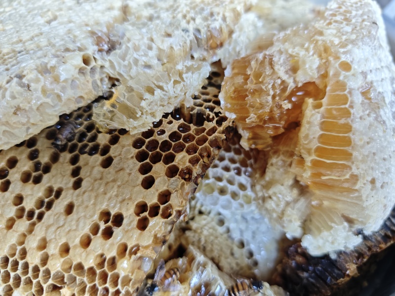 蜂蜜