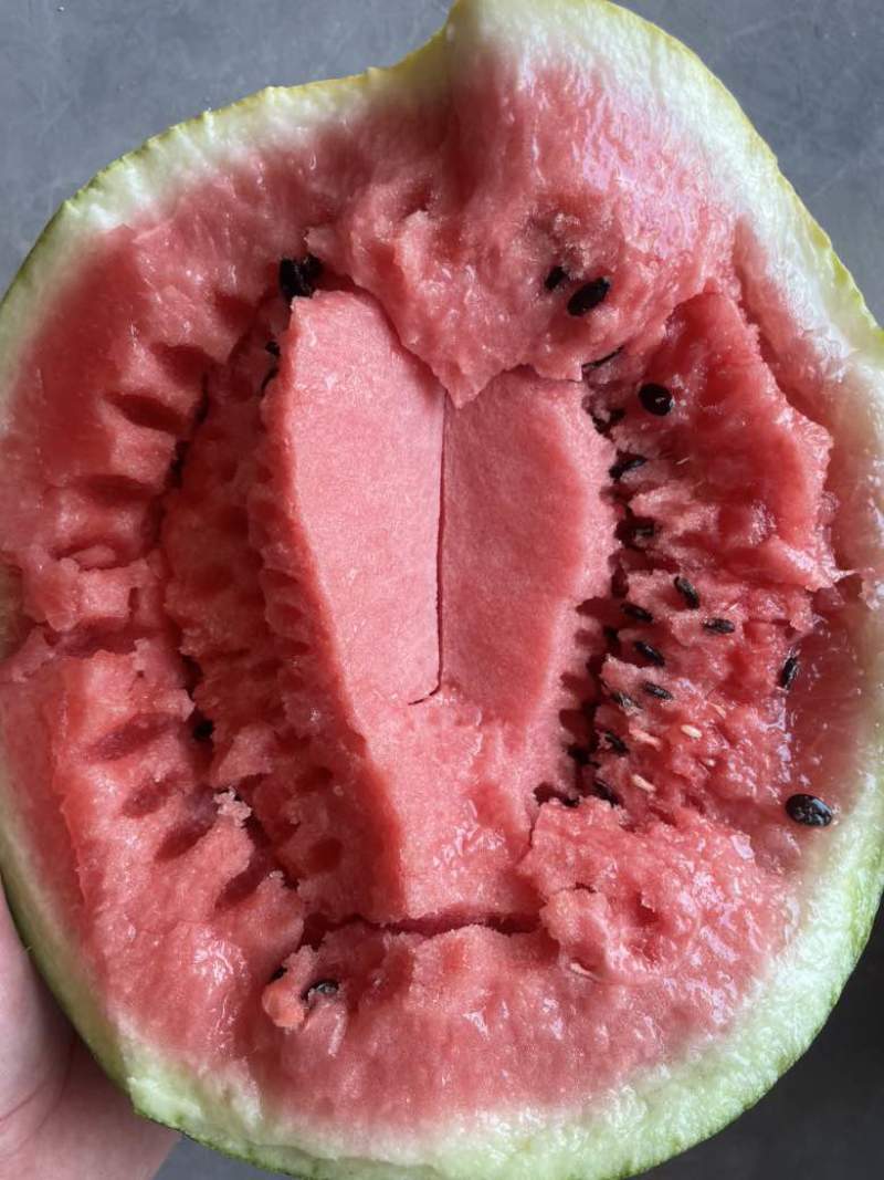 美都麒麟西瓜