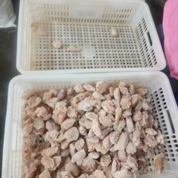 二级鸡翅中5吨