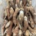 野生鸡枞菌