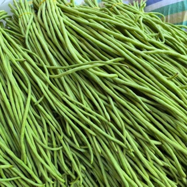 青豆角