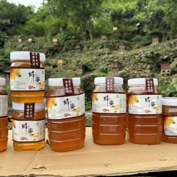 蜂蜜选对味，生活更对味