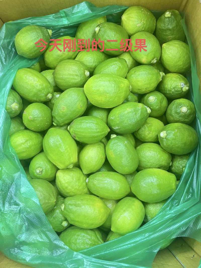 一级香水柠檬