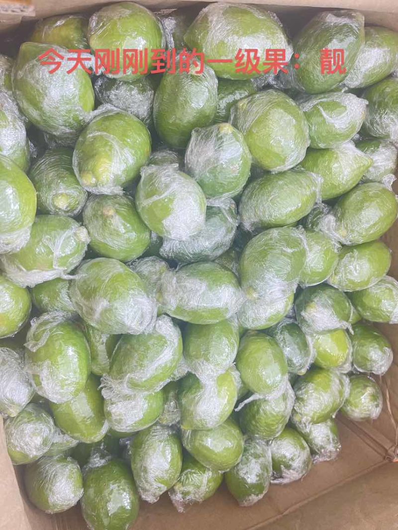 一级香水柠檬
