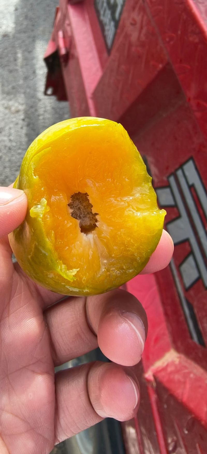 贵州六马蜂糖李原产地清脆清甜