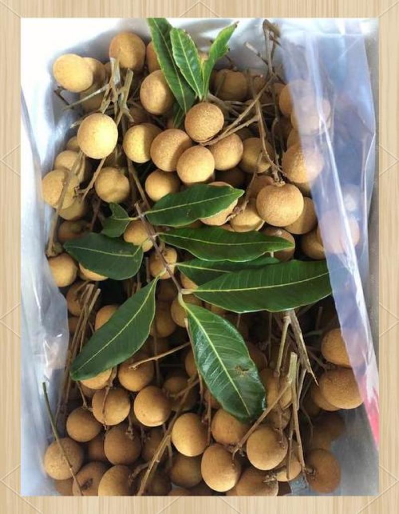 钦州灵山龙眼储良肉厚产地直销