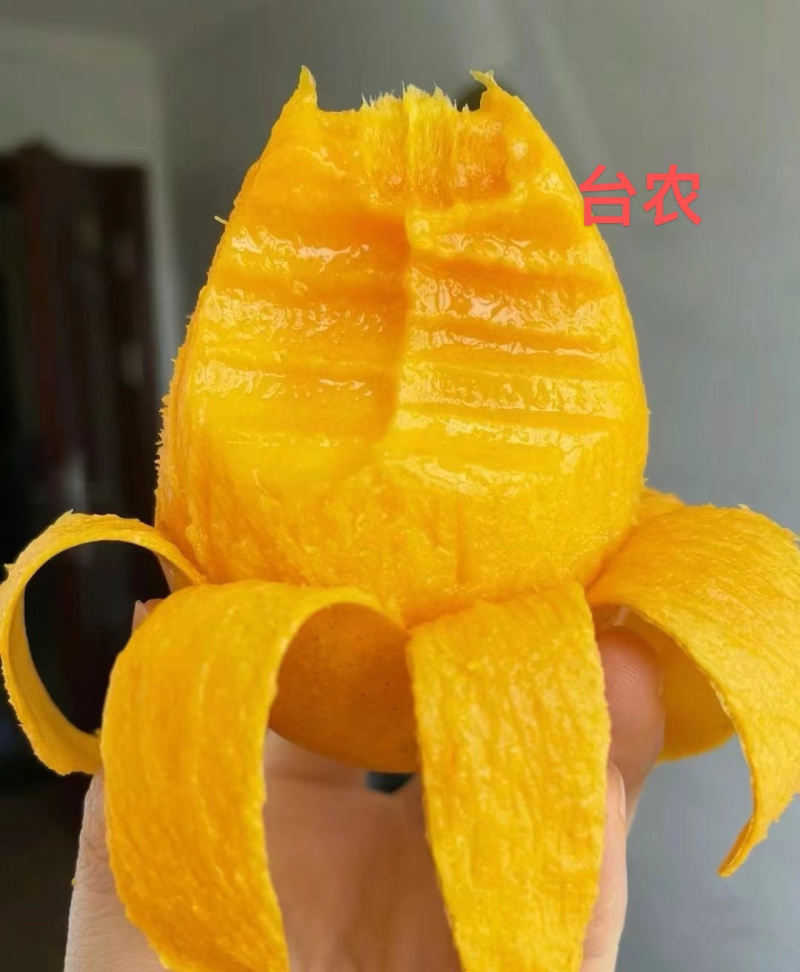 百色精品芒果