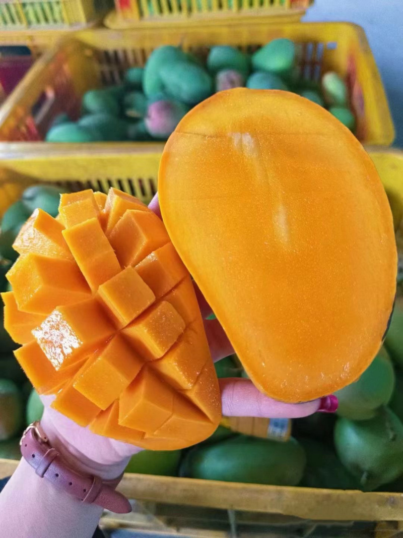 百色精品芒果