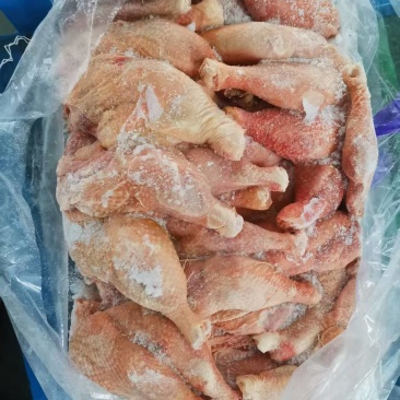 二级种鸡排腿10吨