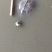 13年南石金钱龟