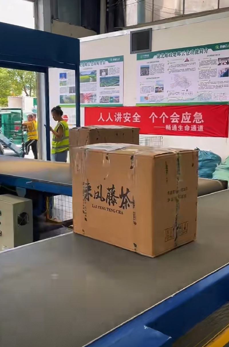 恩施来凤藤茶