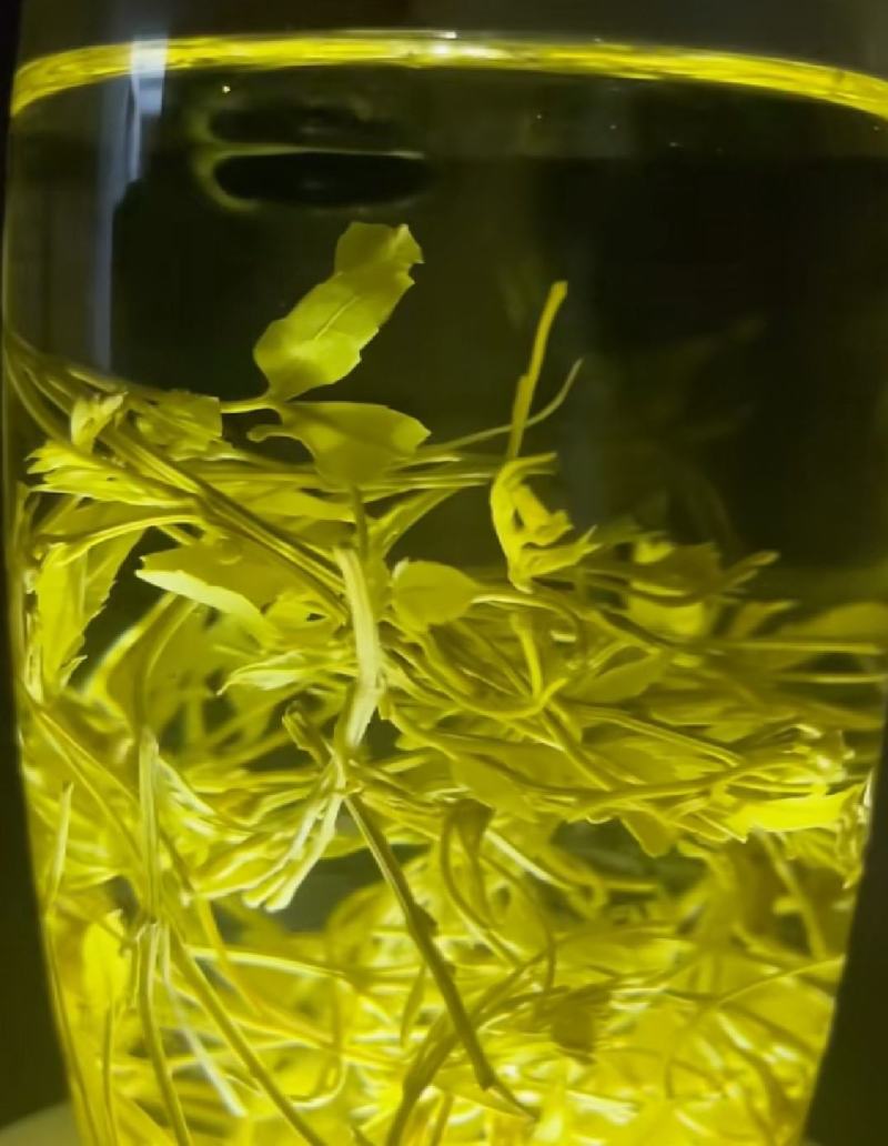 恩施来凤藤茶
