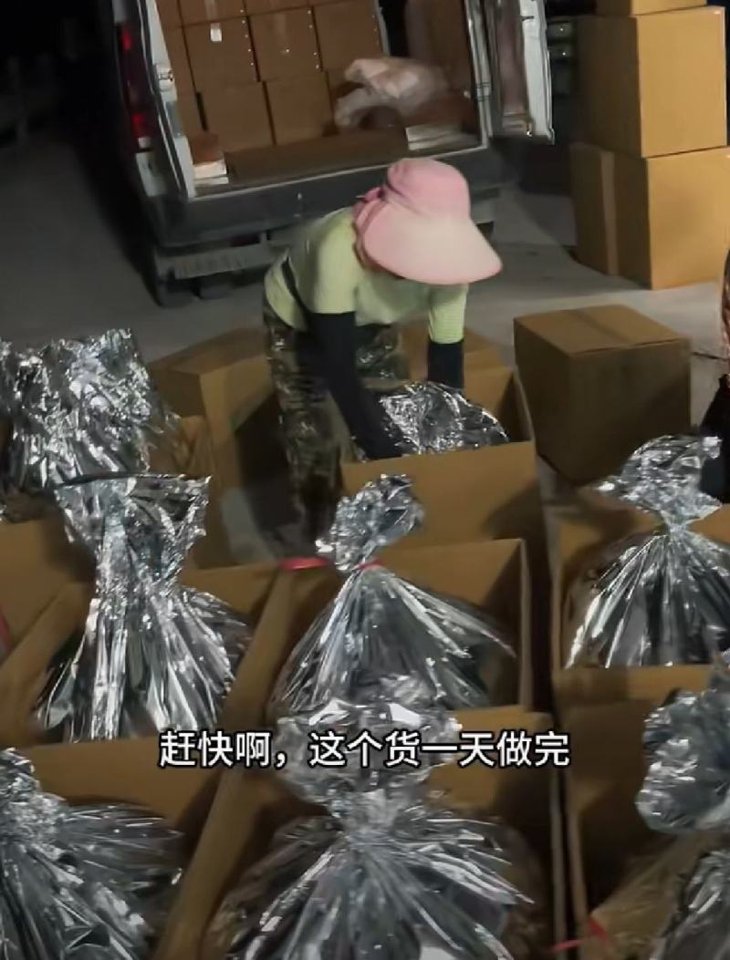 恩施来凤藤茶