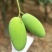 攀枝花米易芒果🥭葡萄🍇西红柿
