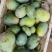 攀枝花米易芒果🥭葡萄🍇西红柿