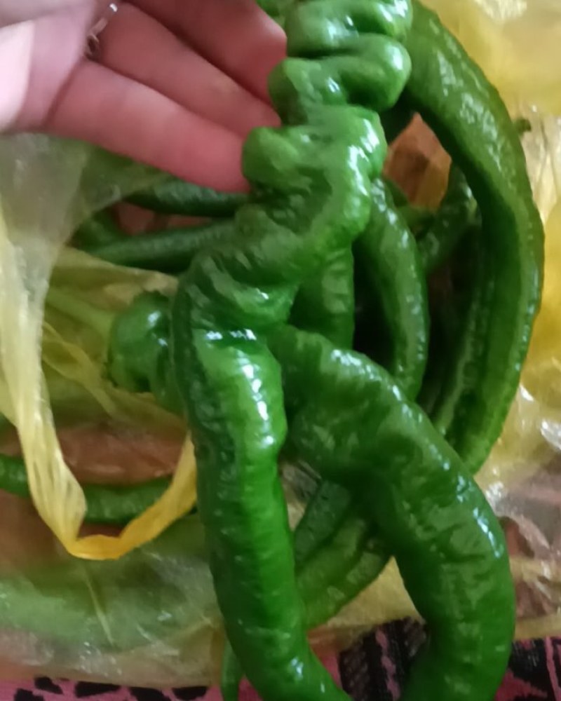 螺丝椒