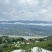 巫山脆李