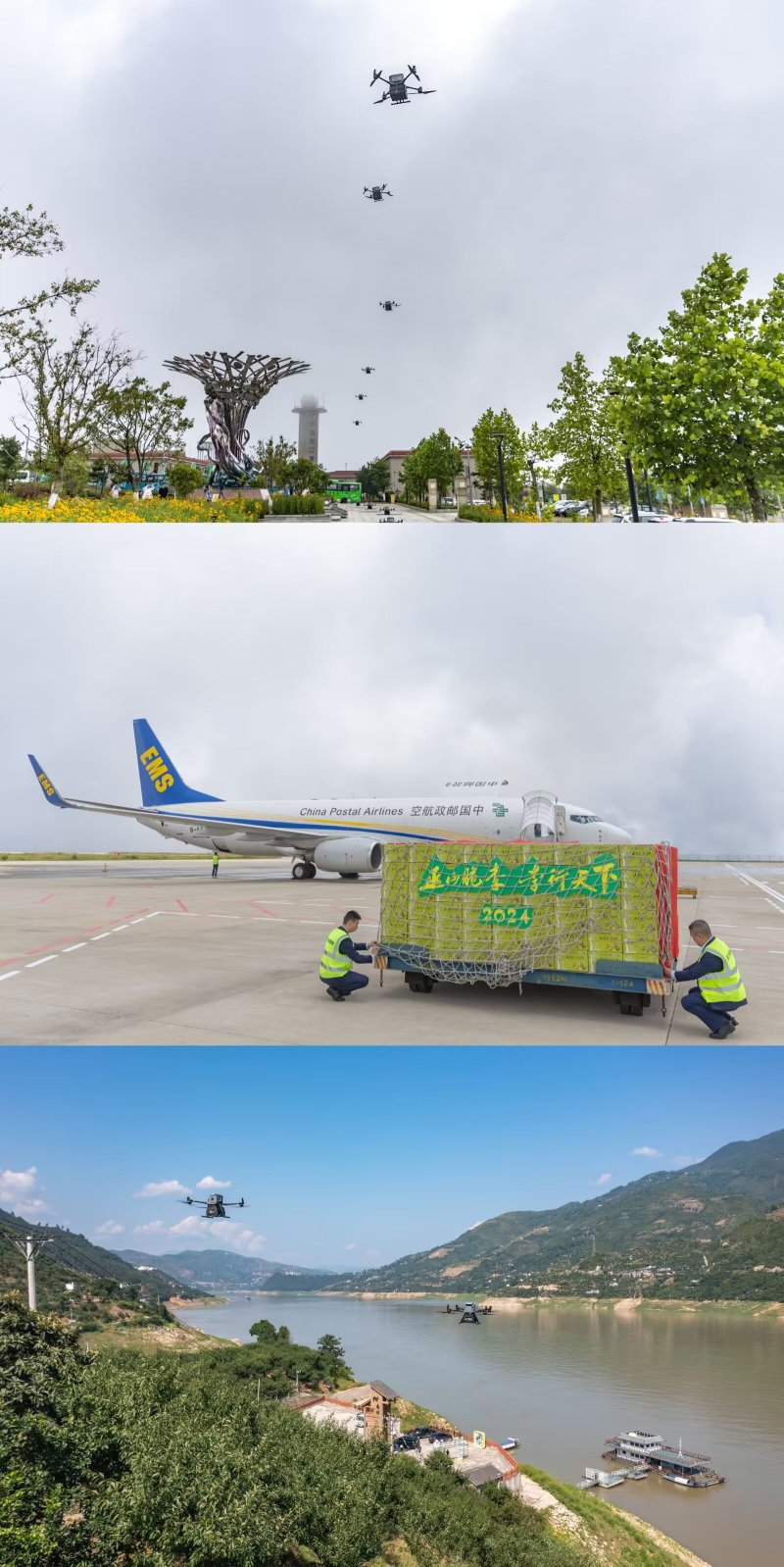 巫山脆李