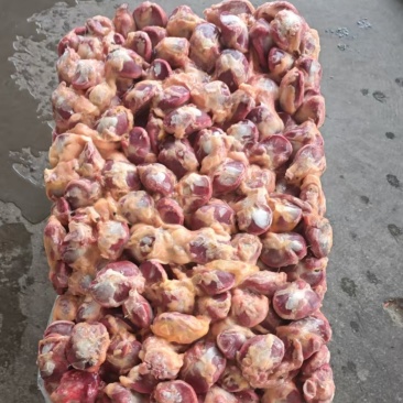 麻鸭毛胗12吨