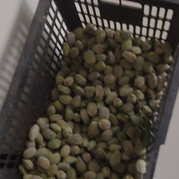巴旦木鲜货