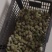 巴旦木鲜货