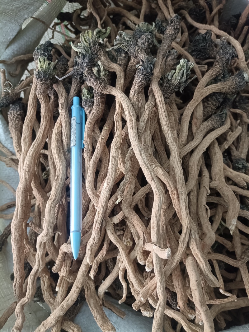 产地商洛高含量粉质板蓝根