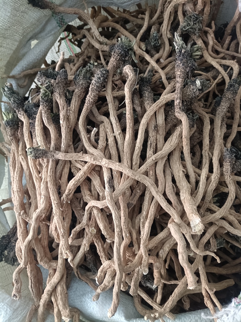 产地商洛高含量粉质板蓝根