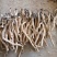 产地商洛高含量粉质板蓝根