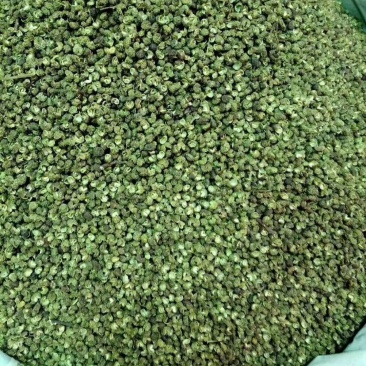 金阳青花椒
