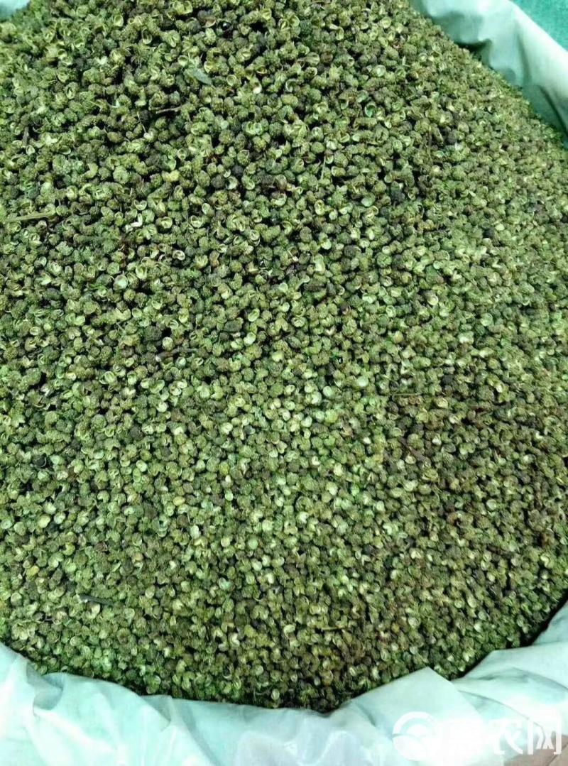 金阳青花椒