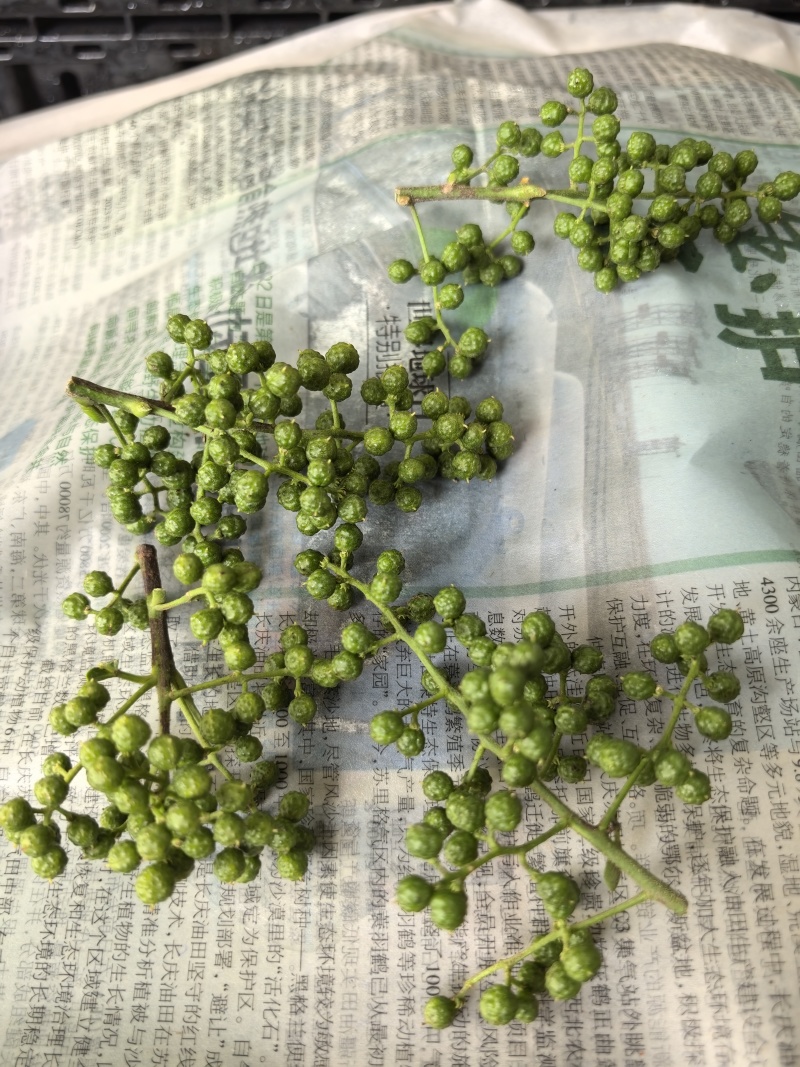 青花椒，干货，通货