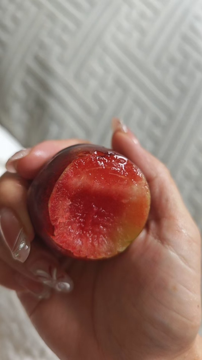 新疆樱桃李等五个李子品种