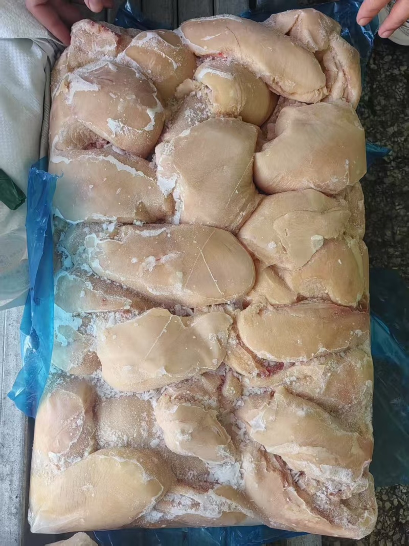 板冻单冻鸡大胸各种规格箱装袋装