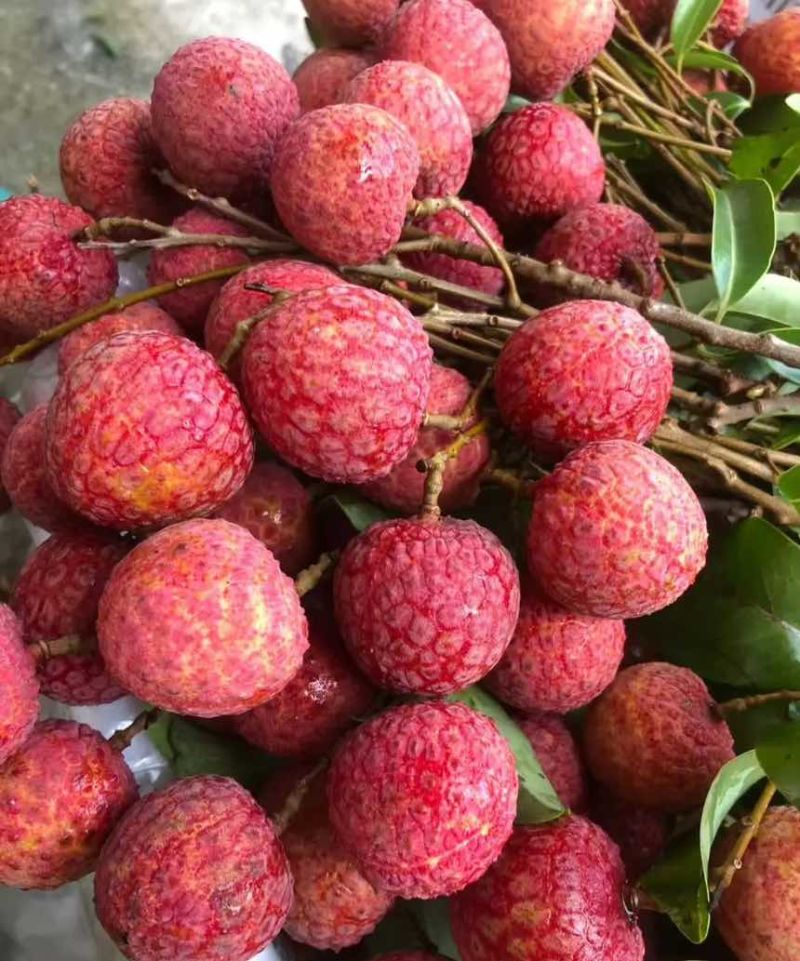 广东汕尾陆丰凤花（淮枝）荔枝大量上市果大清甜